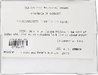 Image Associated With the Occurence